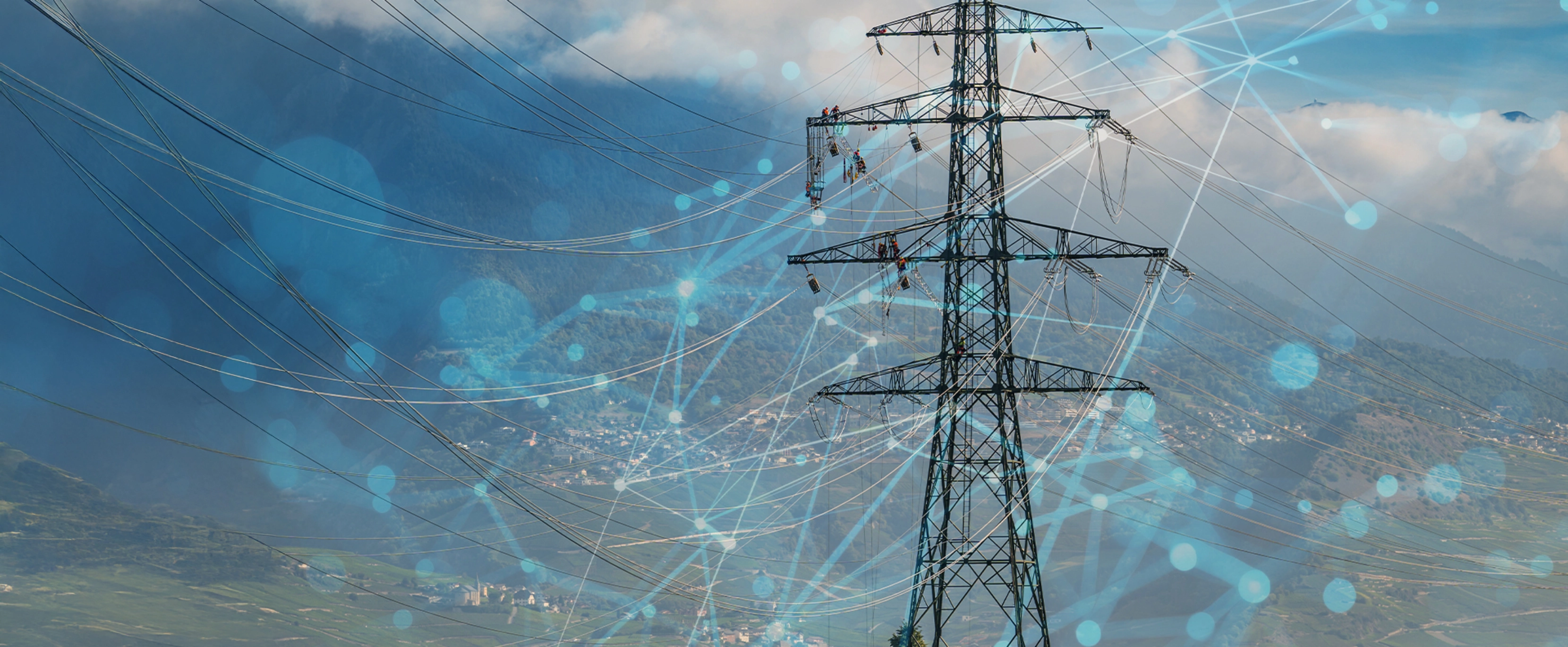 TSO-DSO-Coordination