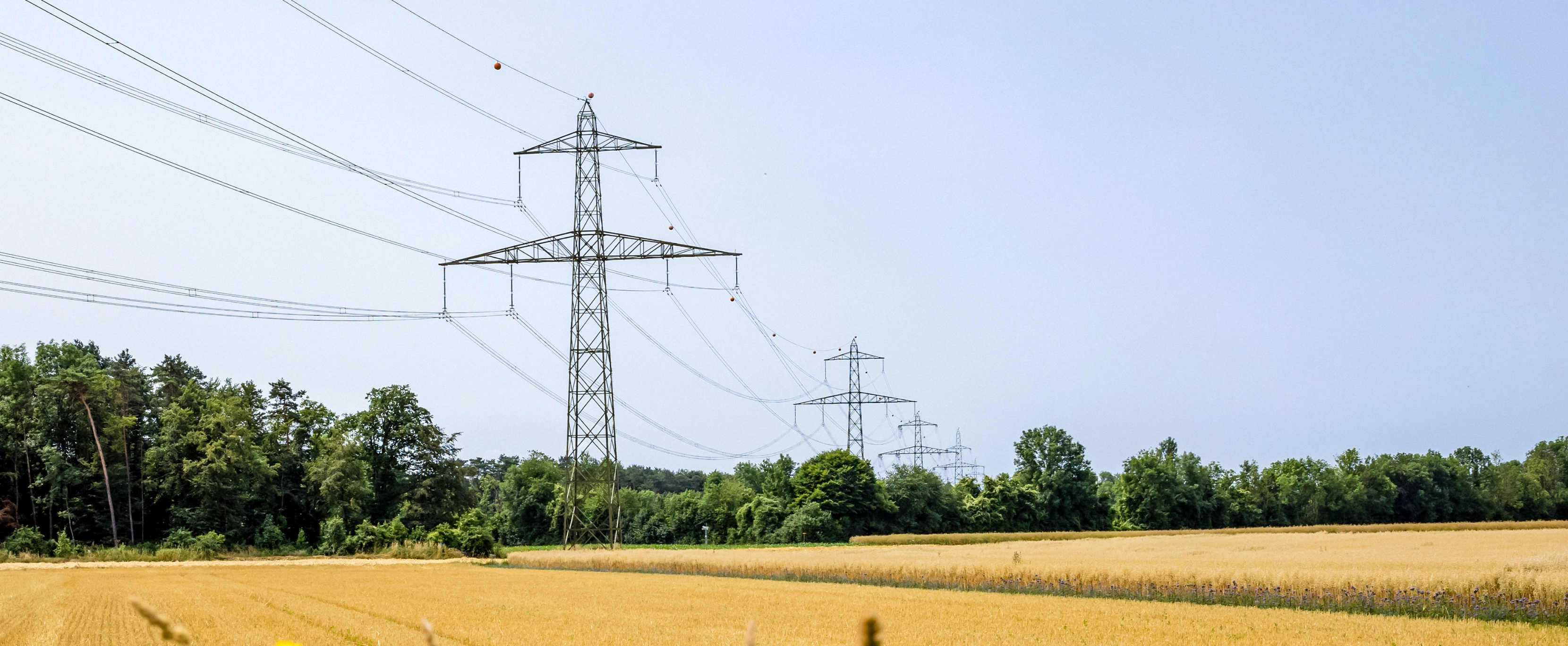Strommasten Bassecourt-Muehleberg