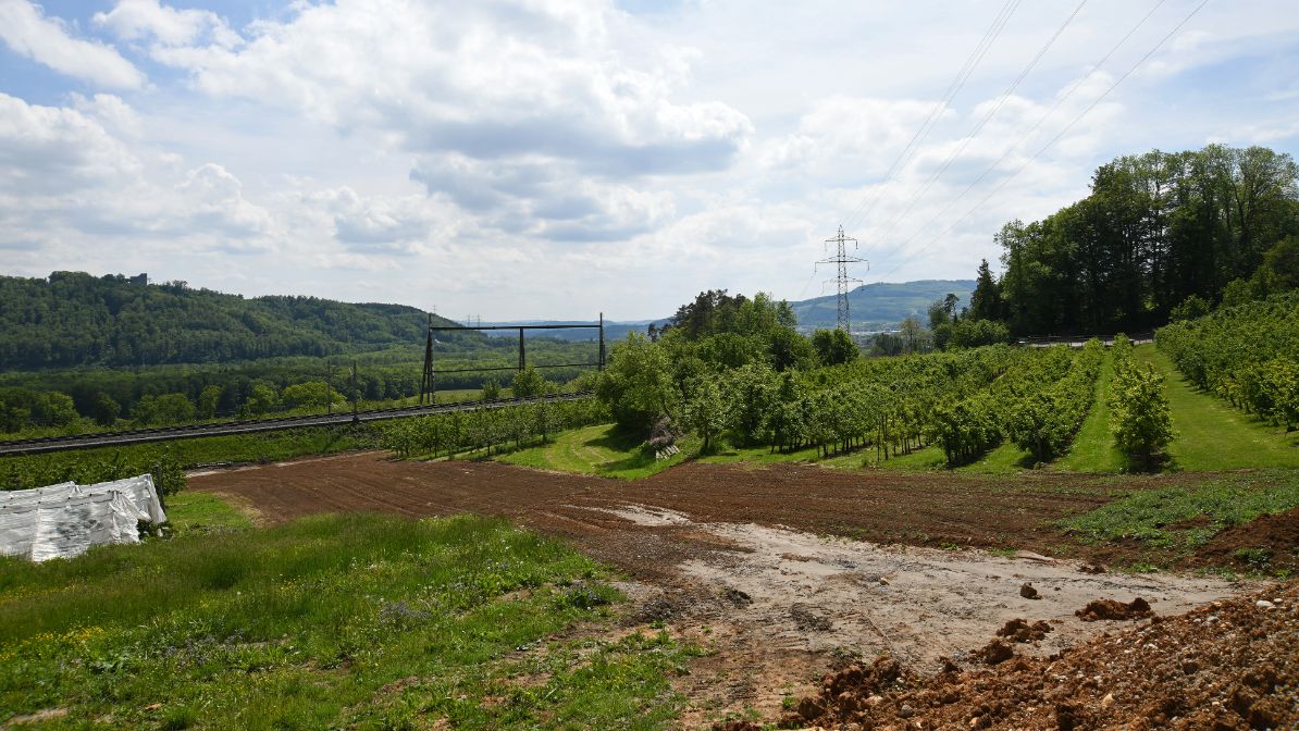 Humusieren / Wiederherstellen des ursprünglichen Zustands