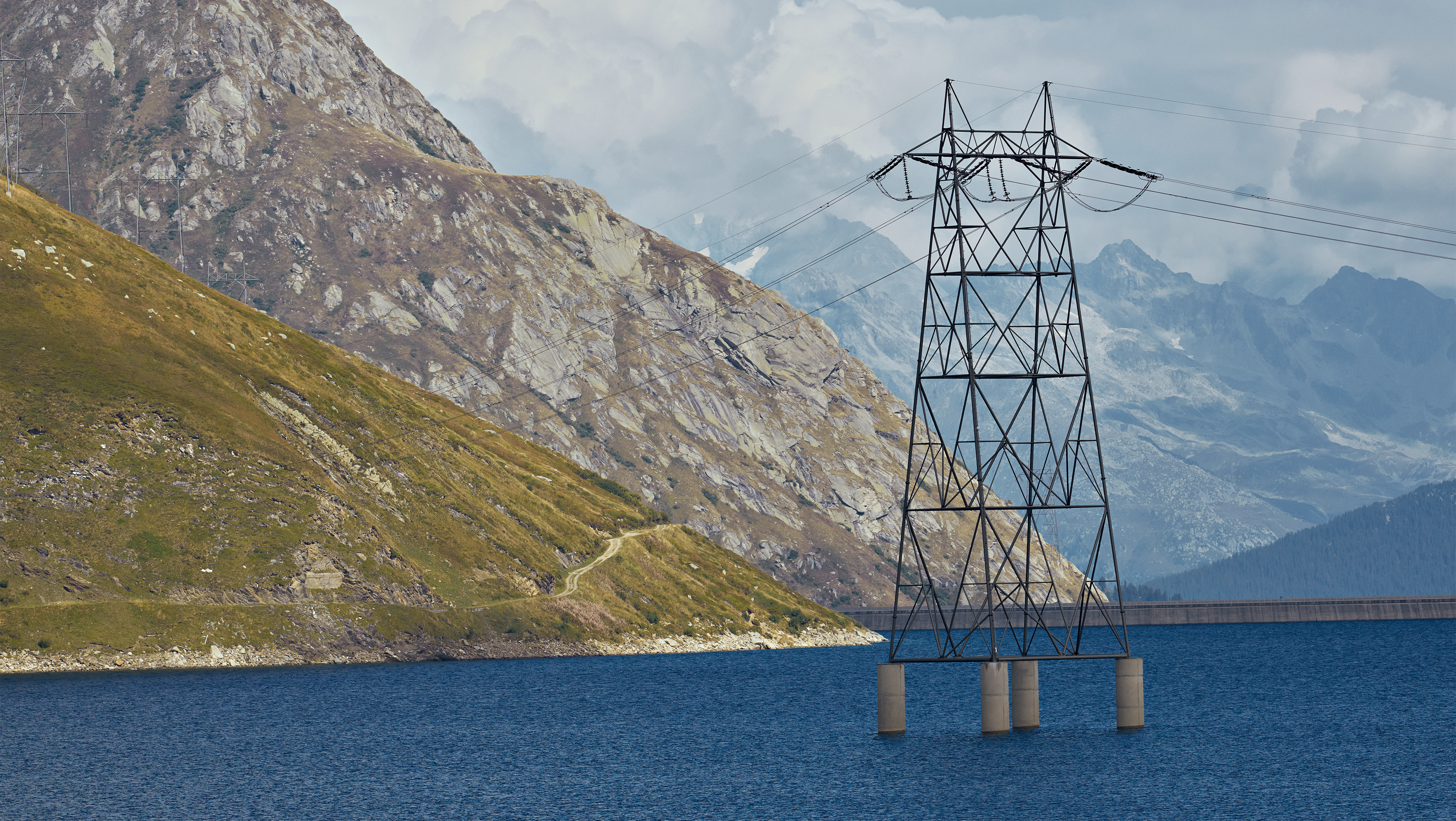 Grid development